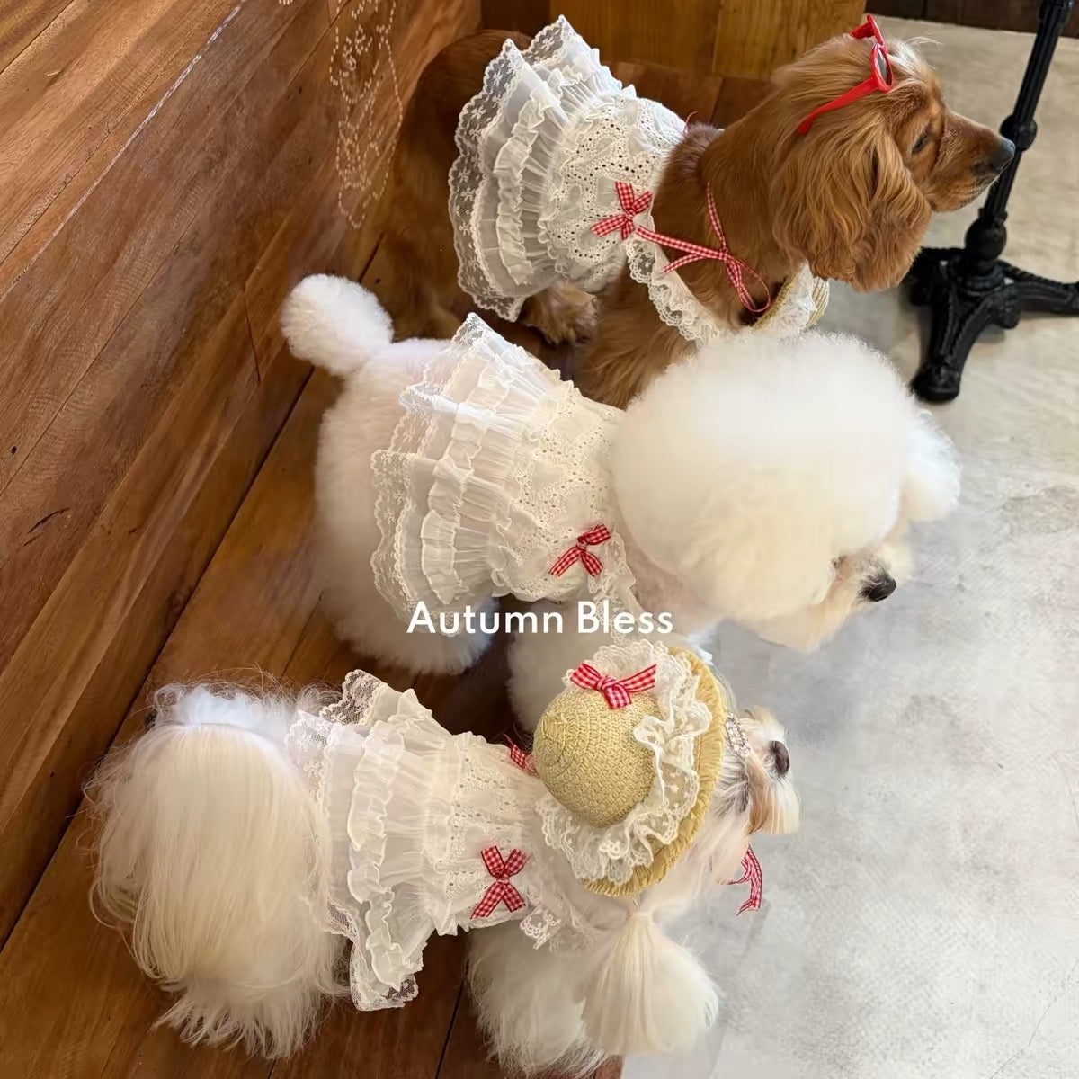 Autumn Bless cloud lace cami dress