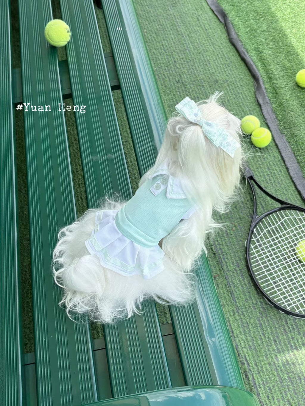 Lime and mint tennis dress for dogs