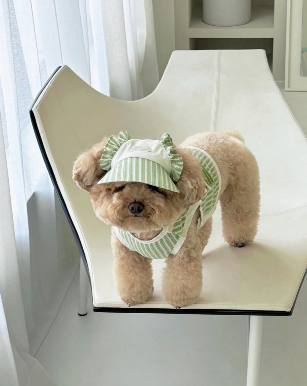 DURANG RURANG summer cotton dog outfit
