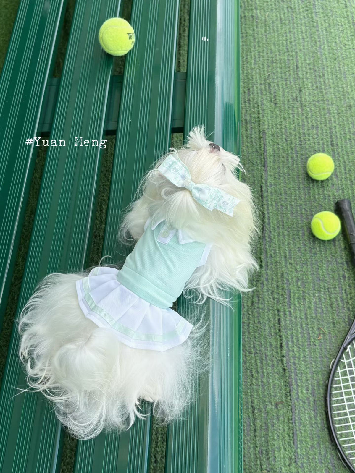 Lime and mint tennis dress for dogs