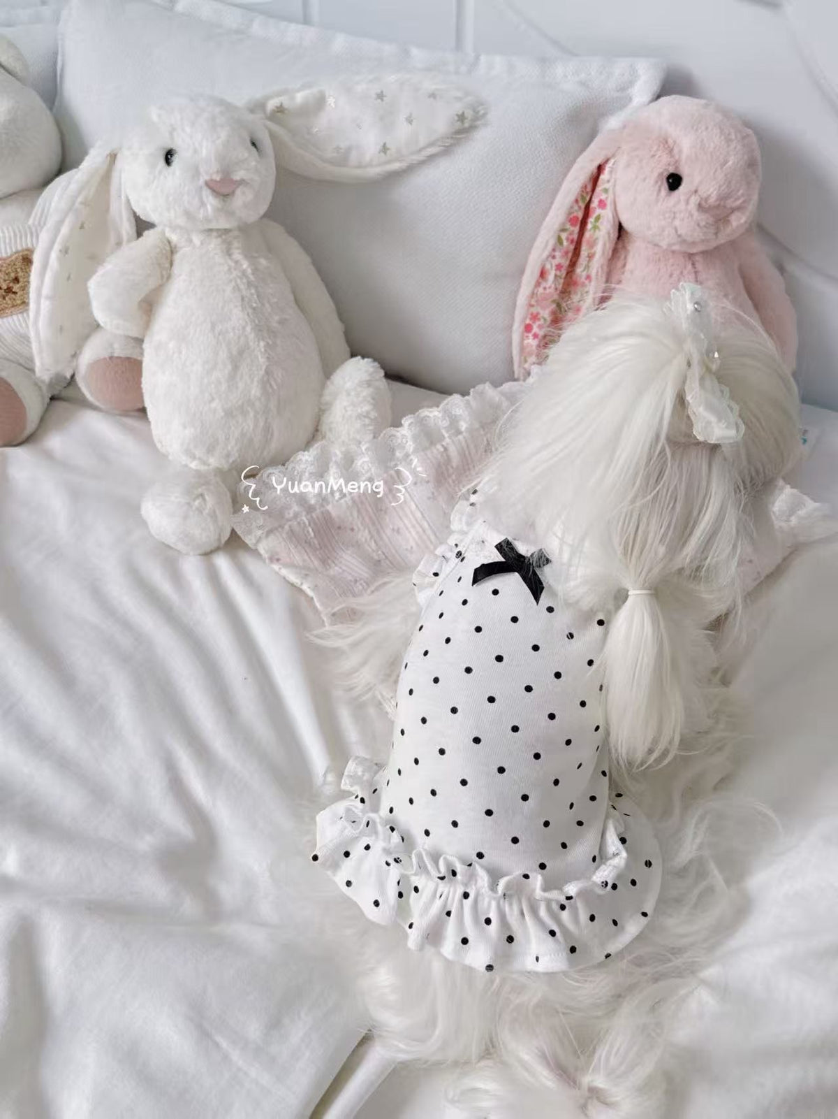 Polka dot matching set for dog and owner
