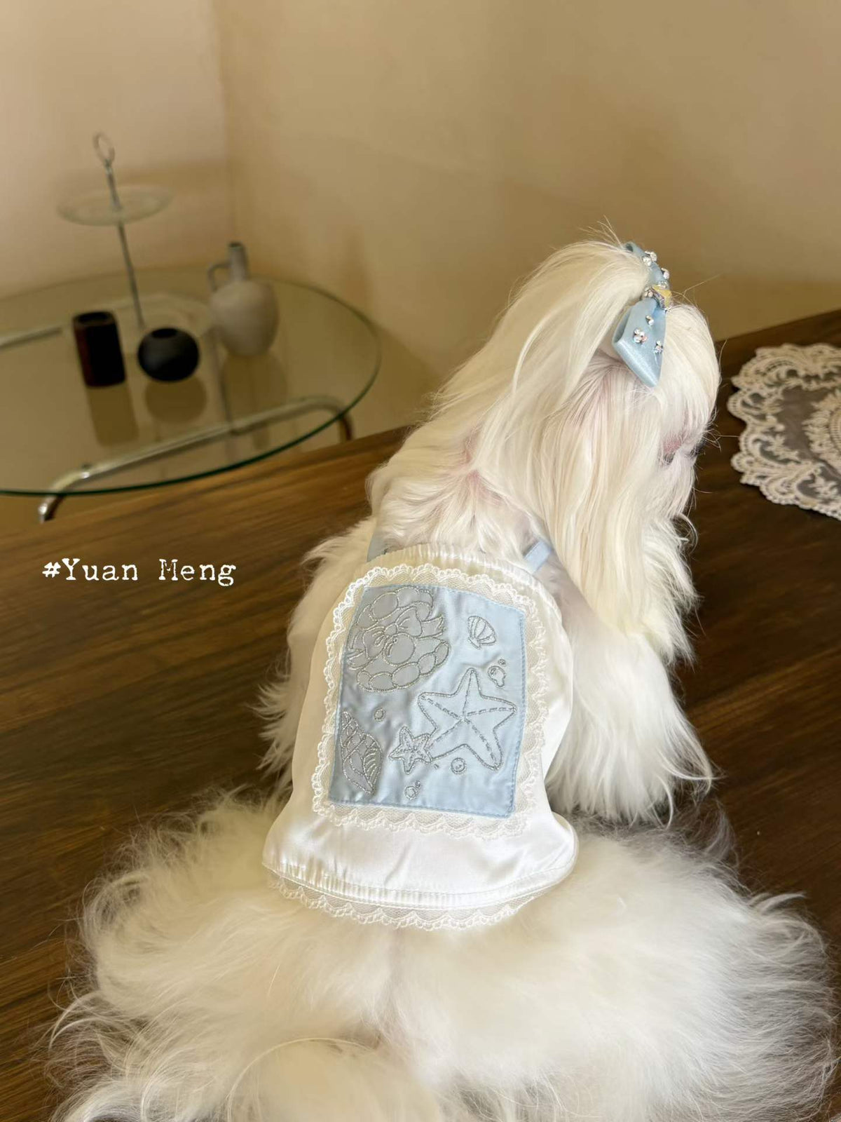 YuanMeng｜Blue Ocean Fairy Tale: Prologue 🐚