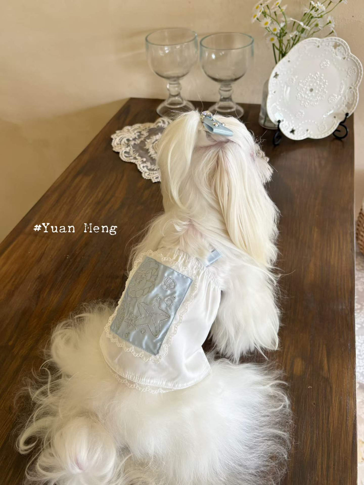 YuanMeng｜Blue Ocean Fairy Tale: Prologue 🐚